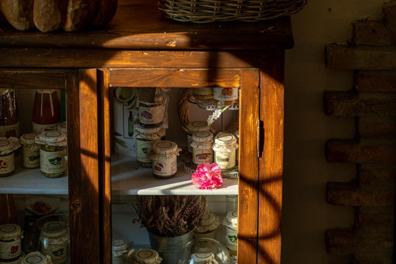 Agriturismo Ca Nuova 미네르비오 외부 사진