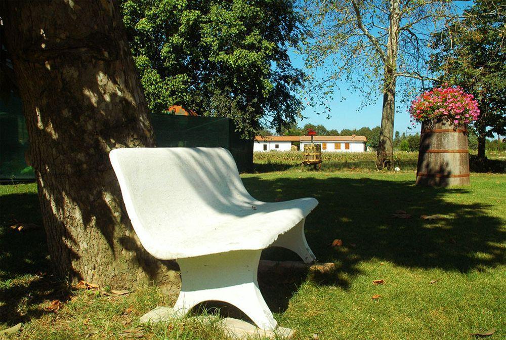 Agriturismo Ca Nuova 미네르비오 외부 사진