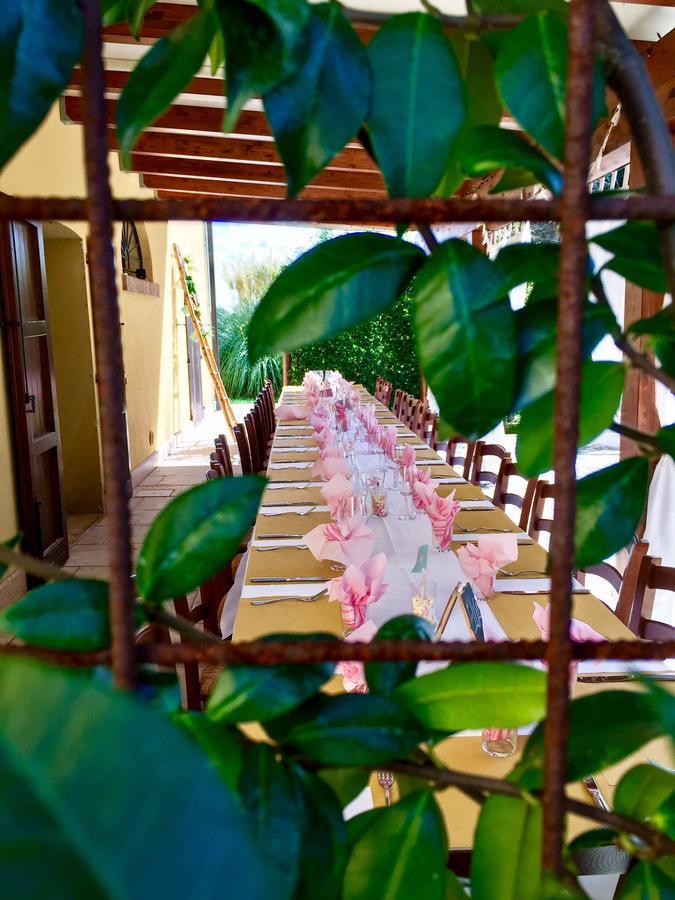 Agriturismo Ca Nuova 미네르비오 외부 사진